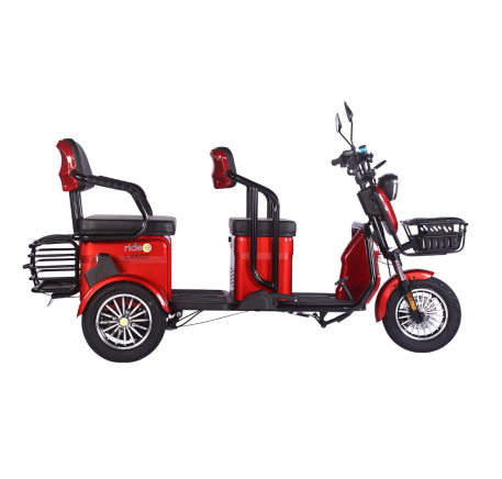 Elektrinis triratis RIDE-E LARGO (EEC)