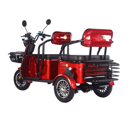 Elektrinis triratis RIDE-E LARGO (EEC)