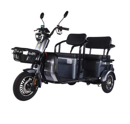 Elektrinis triratis RIDE-E LARGO (EEC)