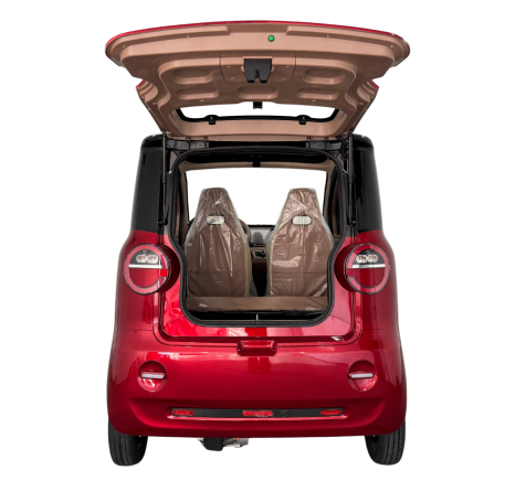 Elektrinis mini automobilis RIDE-E DORA 3,1KW (EEC)