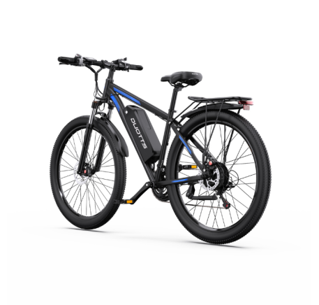 DUOTTS C29L Hydraulics elektrinis dviratis (29")