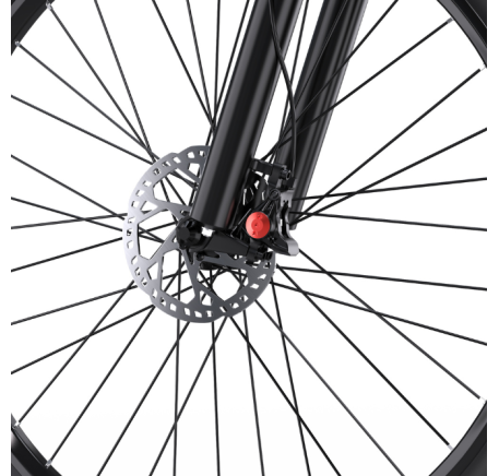DUOTTS C29L Hydraulics elektrinis dviratis (29")
