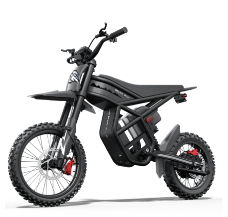 Riding Times GT54 Pro elektrinis dviratis (14")