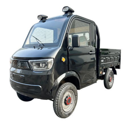 Elektrinis krovininis automobilis RIDE-E TORO (EEC) 100AH