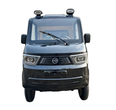 Elektrinis krovininis automobilis RIDE-E TORO (EEC) 100AH