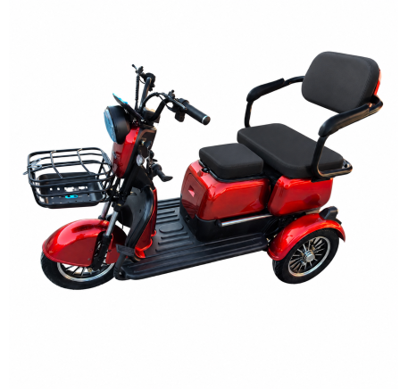 Elektrinis triratis RIDE-E M20R PRO