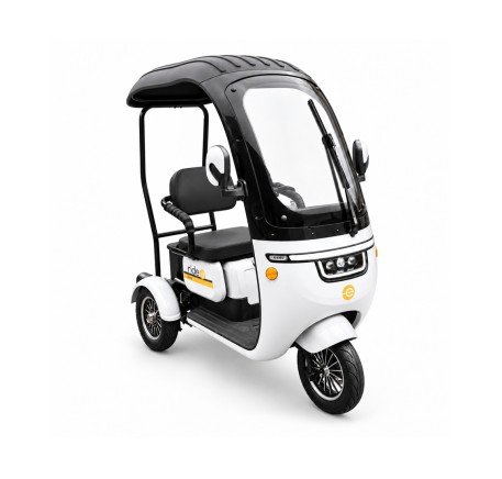 Elektrinis triratis su stogu RIDE-E NEMO (EEC)