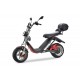 electric scooter BIG CAT (18")