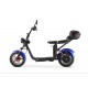 electric scooter E THOR 3.0A EEC (12")