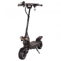 electric scooter ULTRON T108 PRO (11")
