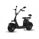 electric scooter CITYCOCO (18")