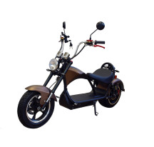  CITY COCO MOTO 2000W