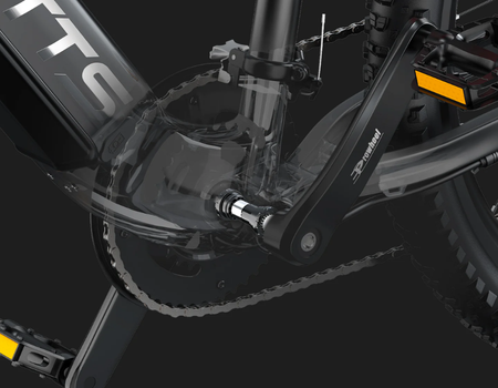 e29 450x350 spec (4).png